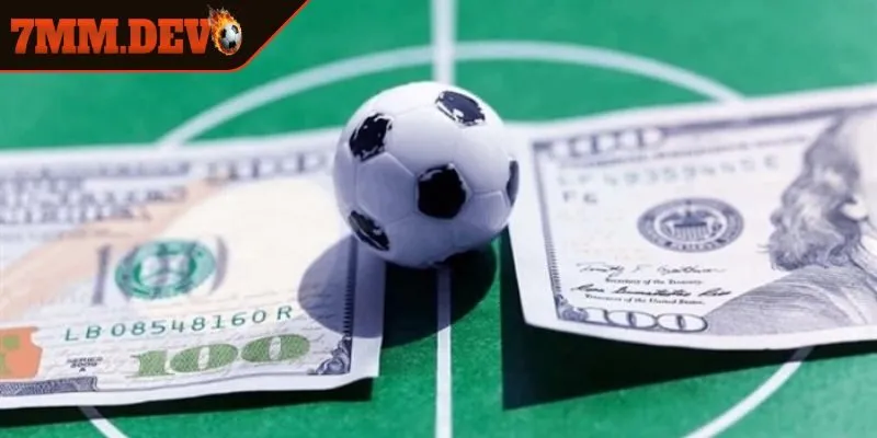 Lưu ý quan trọng