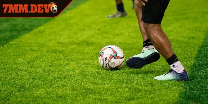 Loại kèo cược cơ hội kép 12