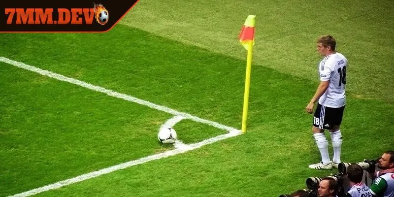 Bí quyết tham gia hiệu quả từ chuyên gia