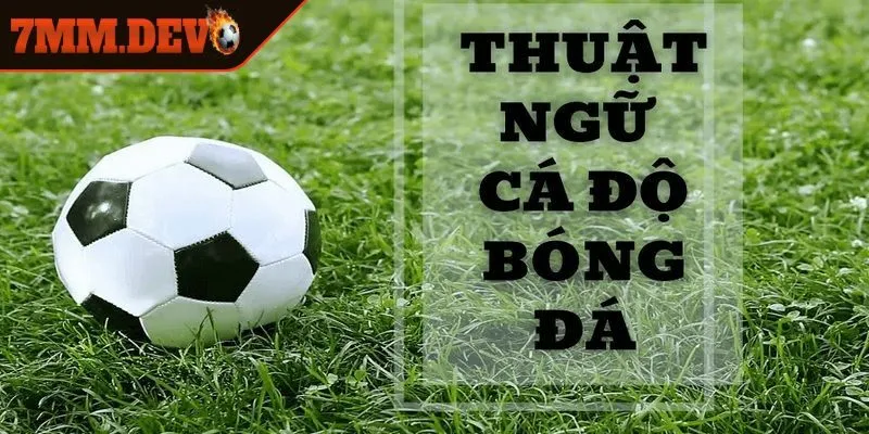 Hệ thống thuật ngữ bóng đá trong kèo Châu Á và Châu Âu